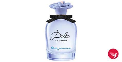 bluzy dolce gabbana|dolce and gabanna blue jasmine.